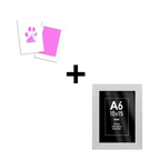 Kit Carimbo de Patas para Pets