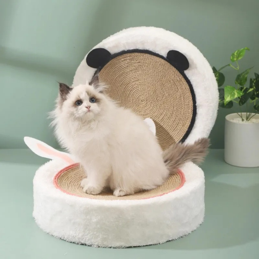 Arranhador Cama para Gatos