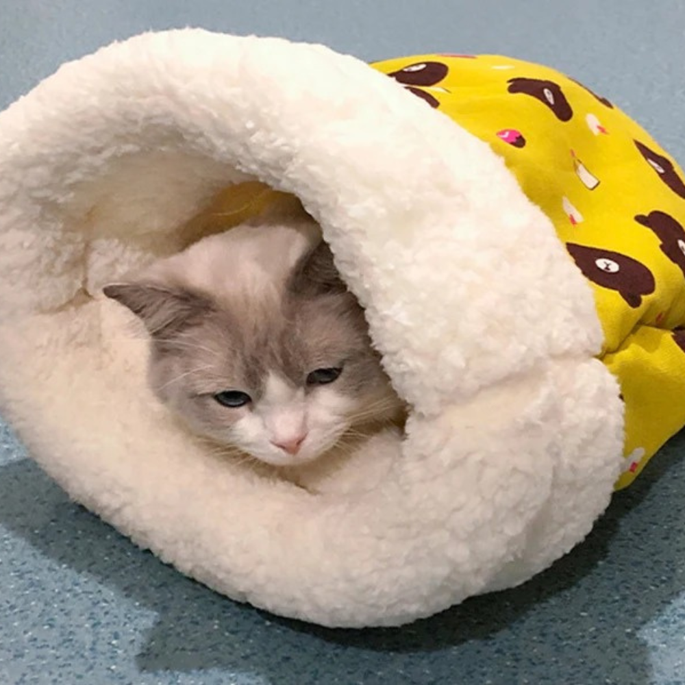 Saquinho de Inverno para Gatos