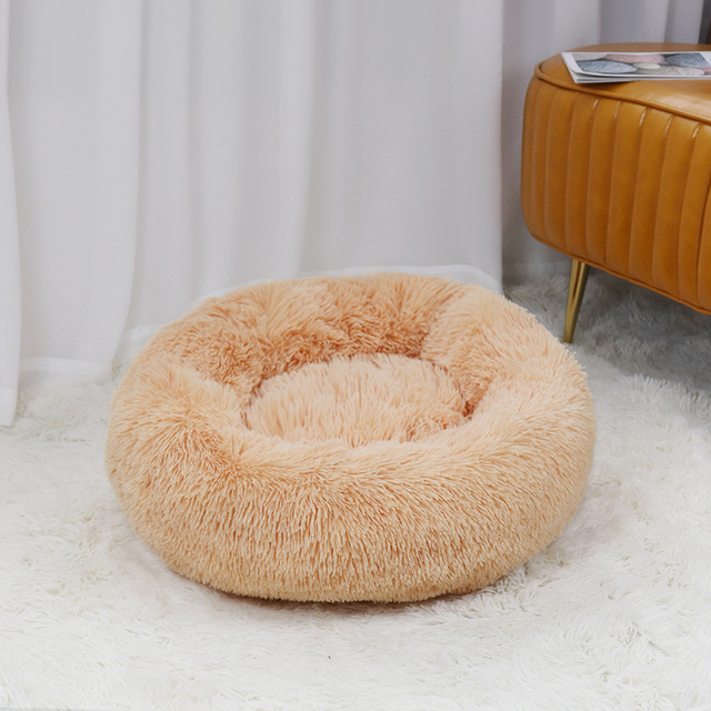 Caminha Nuvem para Pets