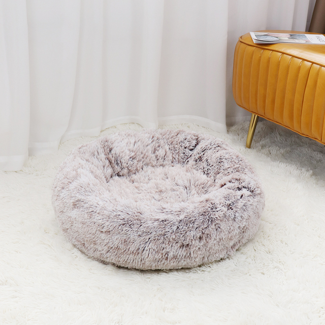 Caminha Nuvem para Pets