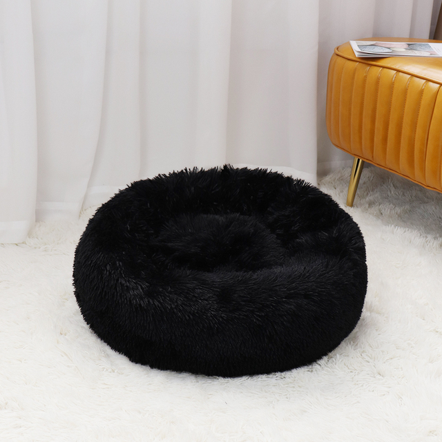 Caminha Nuvem para Pets