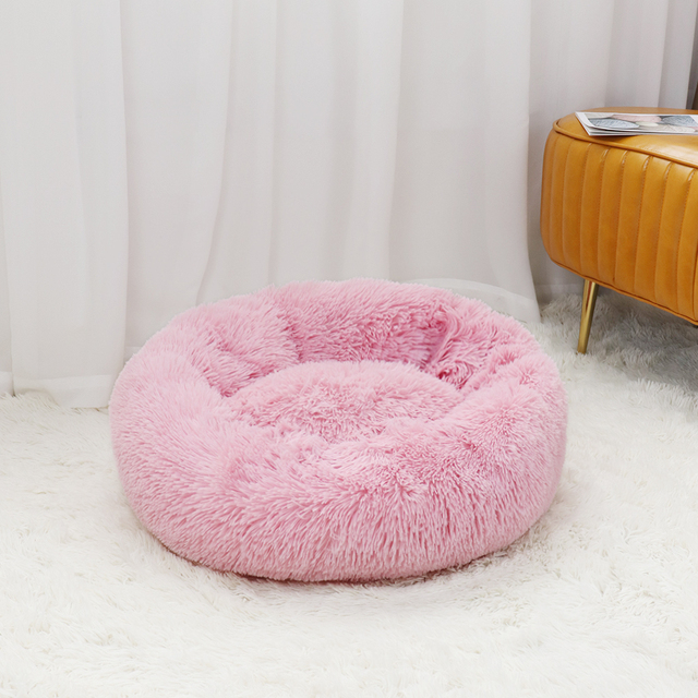 Caminha Nuvem para Pets
