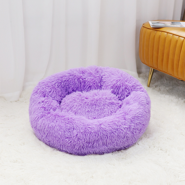 Caminha Nuvem para Pets
