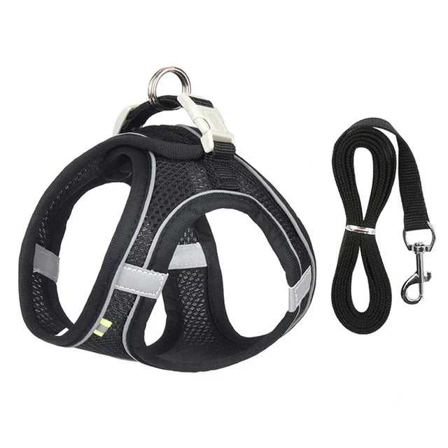 Peitoral Ajustável com Guia para Gatos