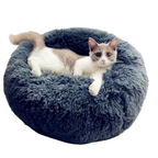 Caminha Nuvem para Pets