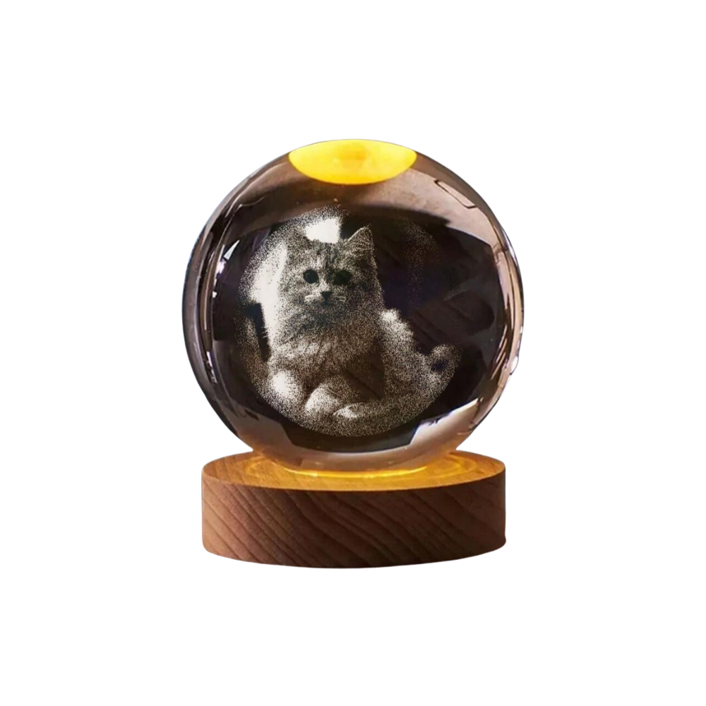 Luminária 3D Personalizável - Com a Foto do seu Gato