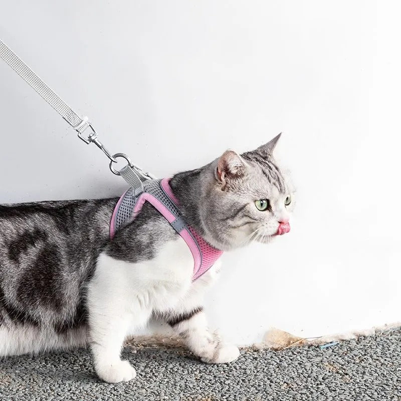 Peitoral Ajustável com Guia para Gatos