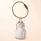 Chaveiro de Acrílico para Pelos de Gatos