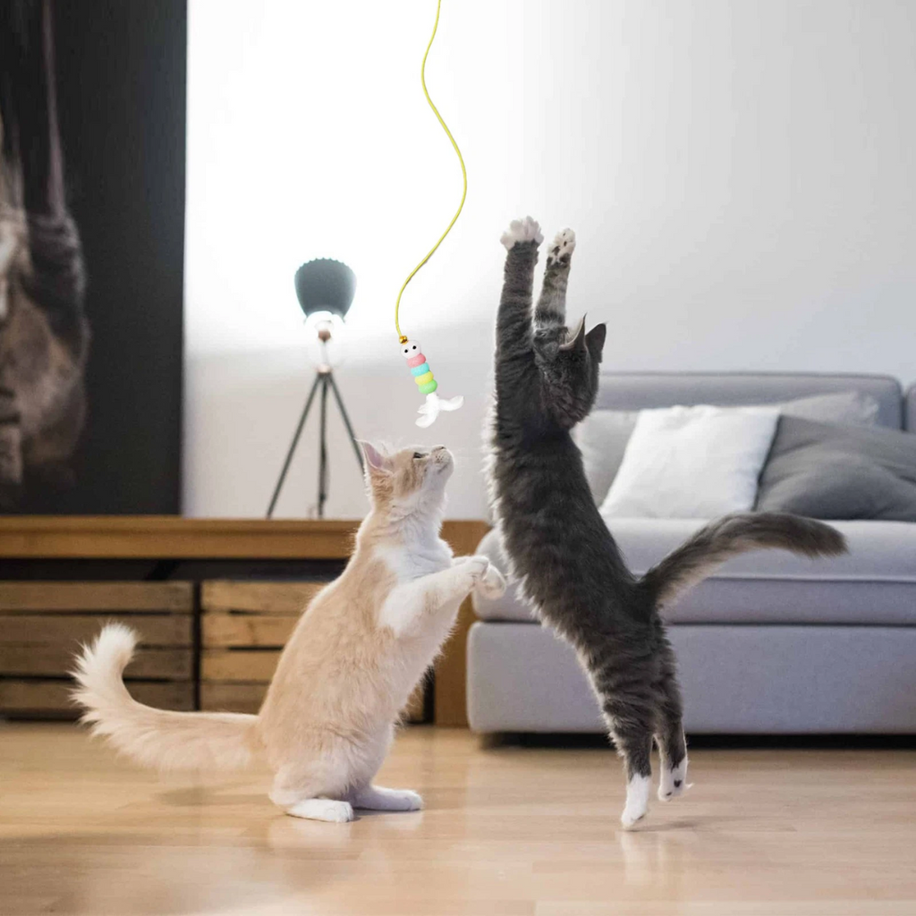 Brinquedo Elétrico Adesivo para Gatos