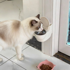 Bebedouro Privada para Gatos