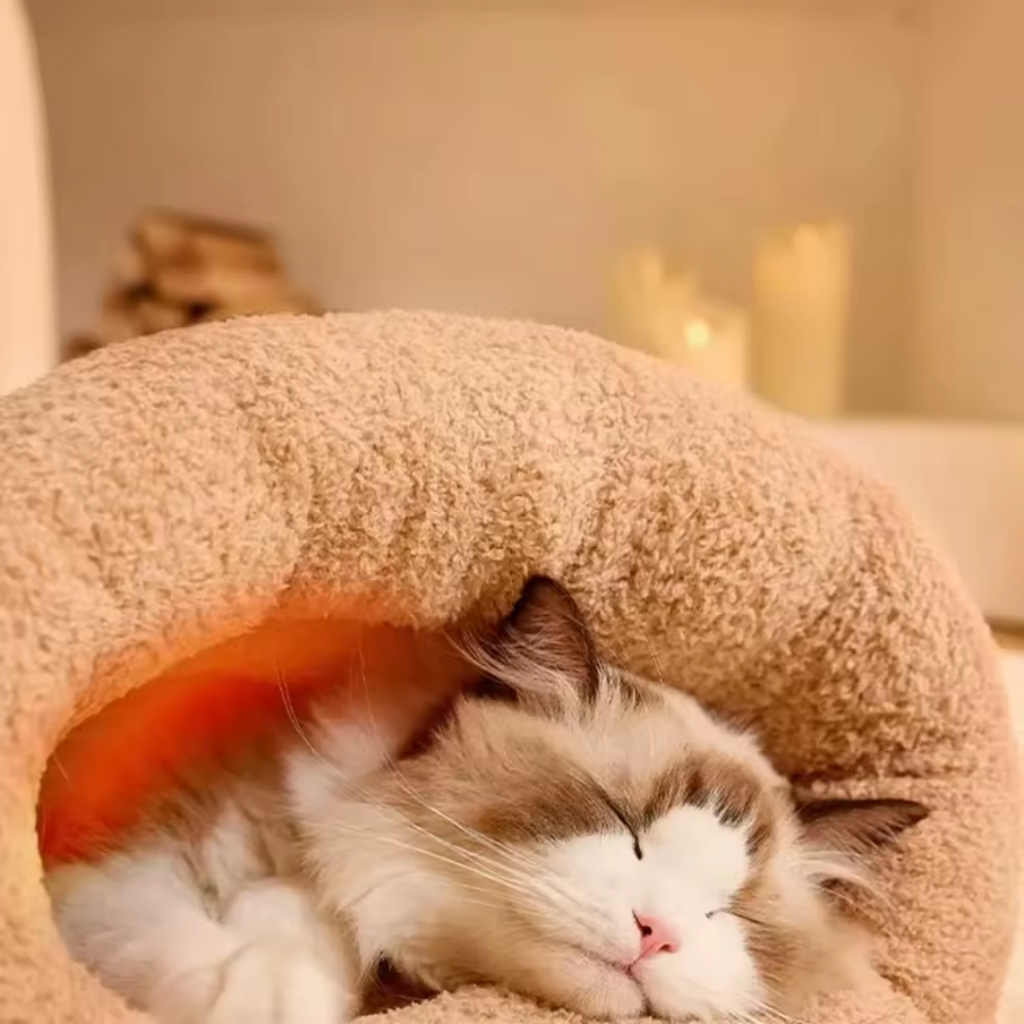 Toquinha de Inverno Premium para Gatos