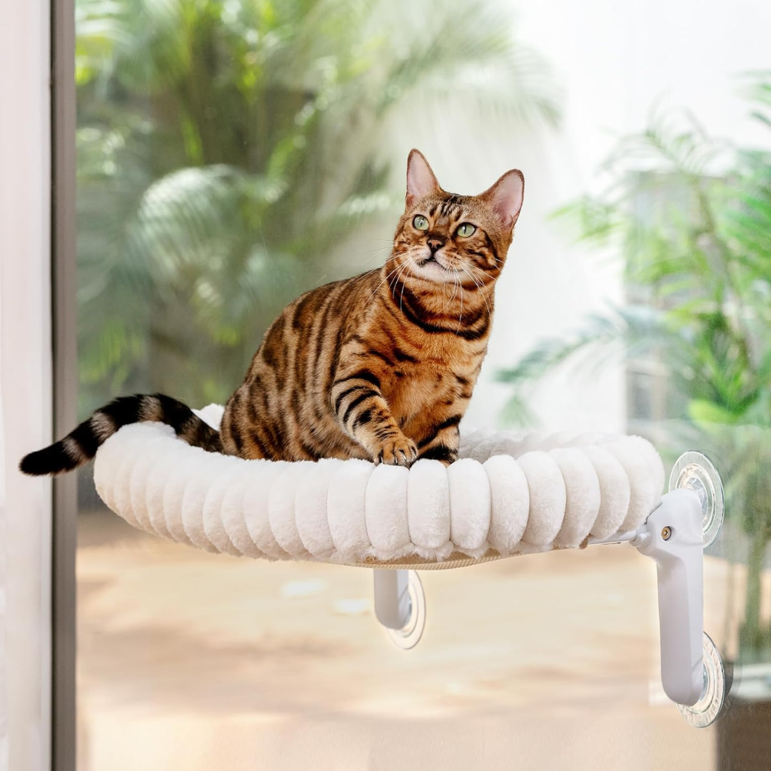 Caminha Aérea Aconchegante para Gatos