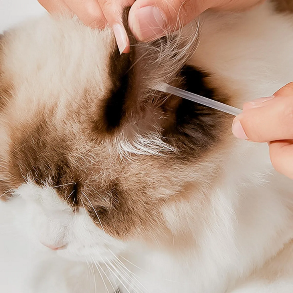 Cotonetes Úmidos para Limpeza de Gatos