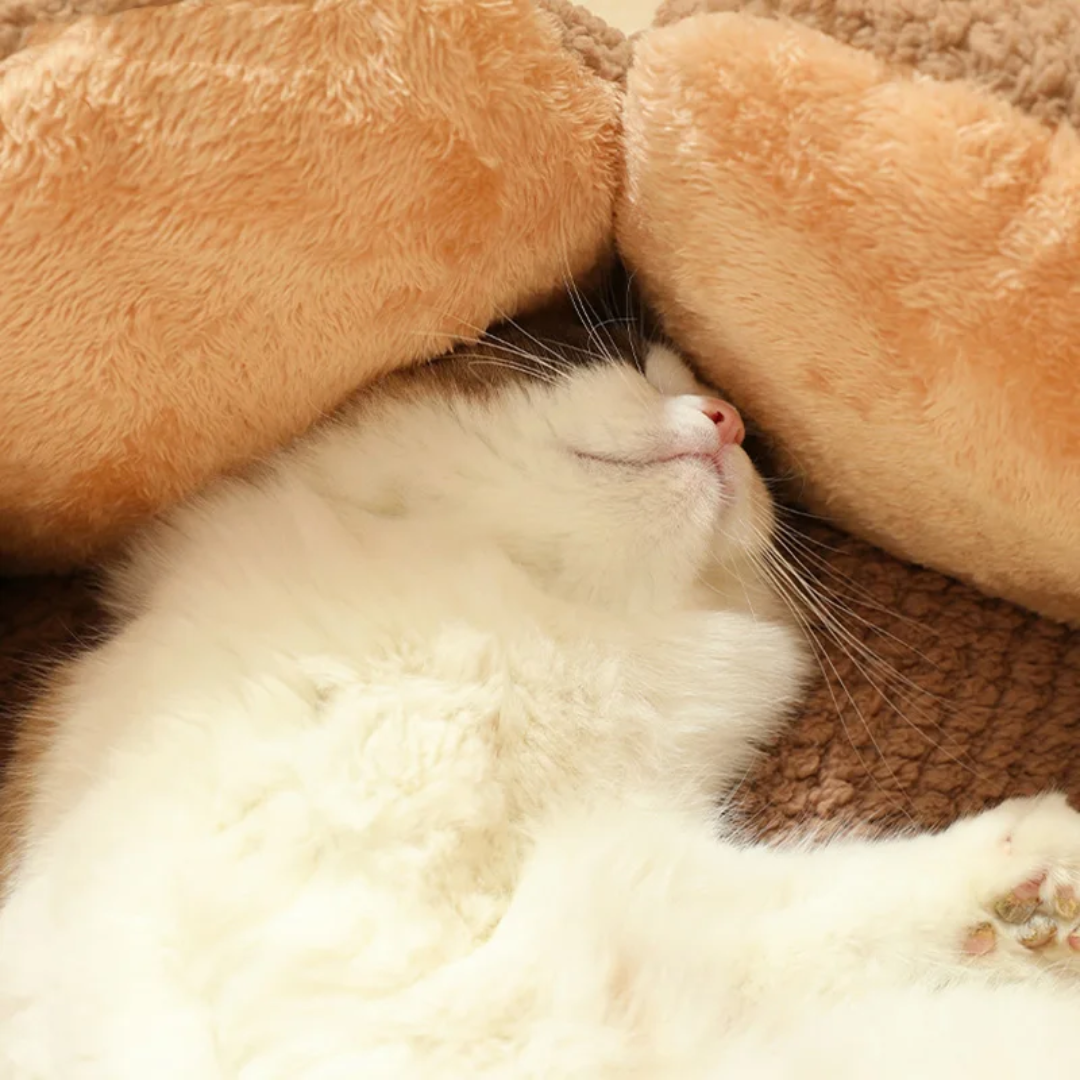 Cama Flor Aconchegante para Gatos