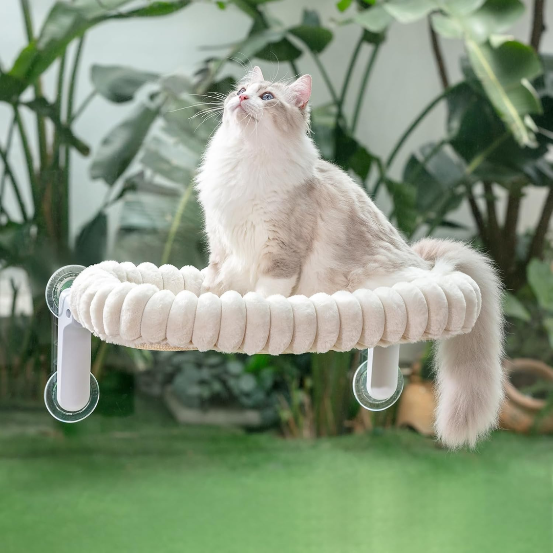 Caminha Aérea Aconchegante para Gatos