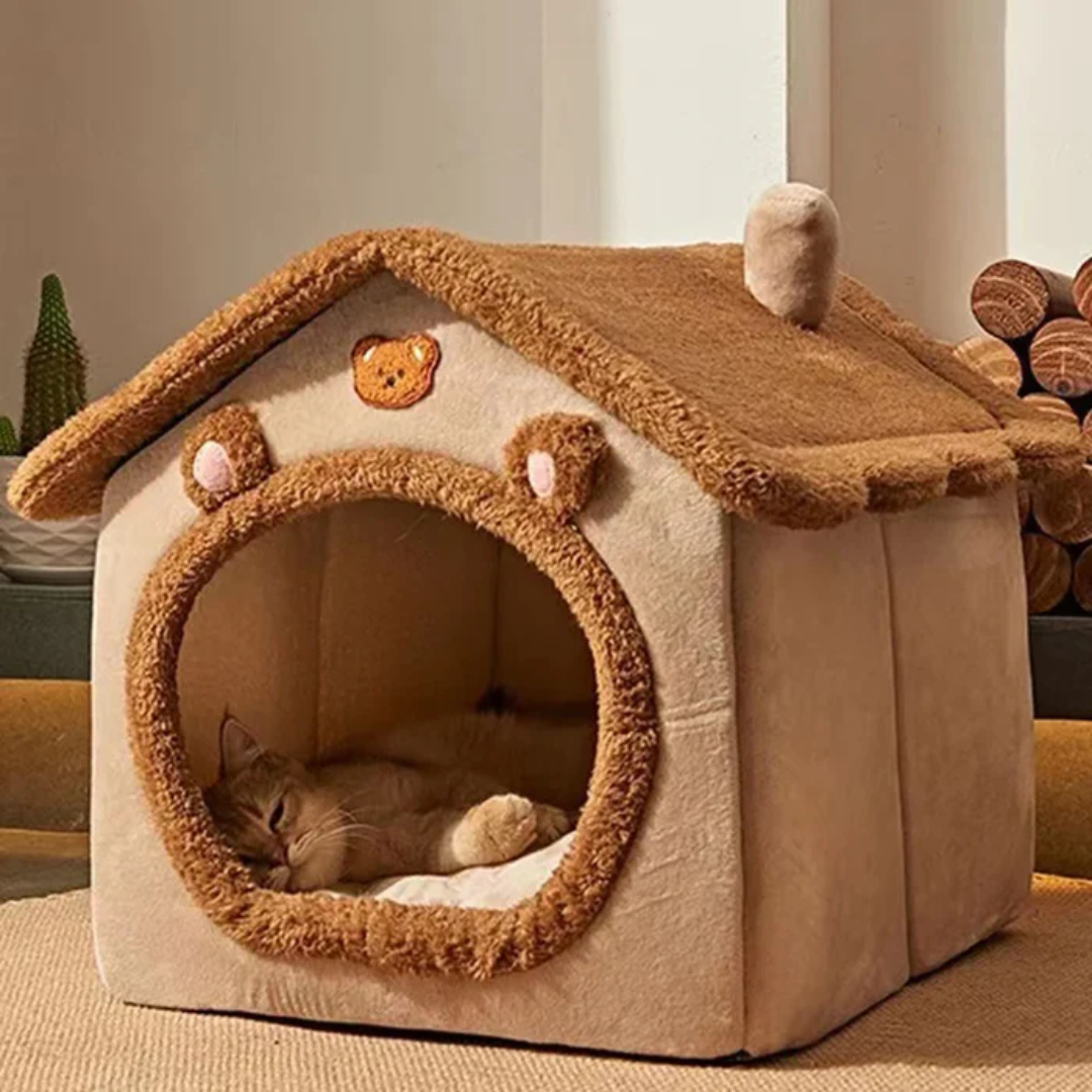 Casa Ursinho Desmontável para Gatos