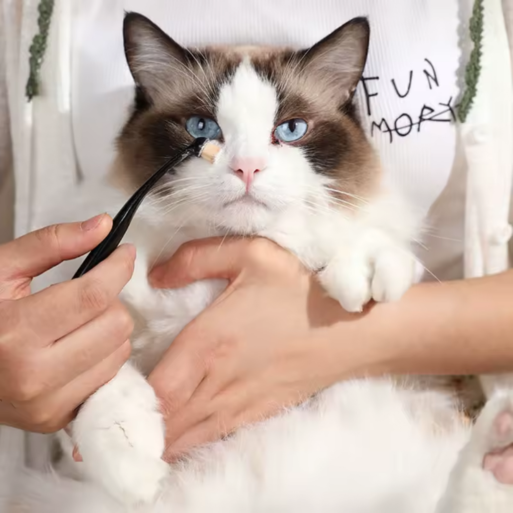 Kit Escova + Pó Removedor de Manchas para Gatos