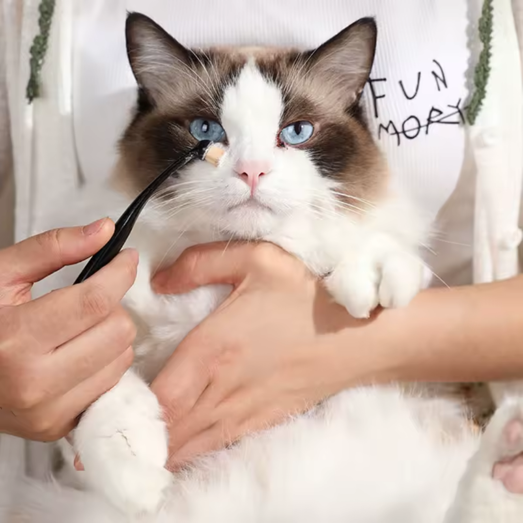 Kit Escova + Pó Removedor de Manchas para Gatos
