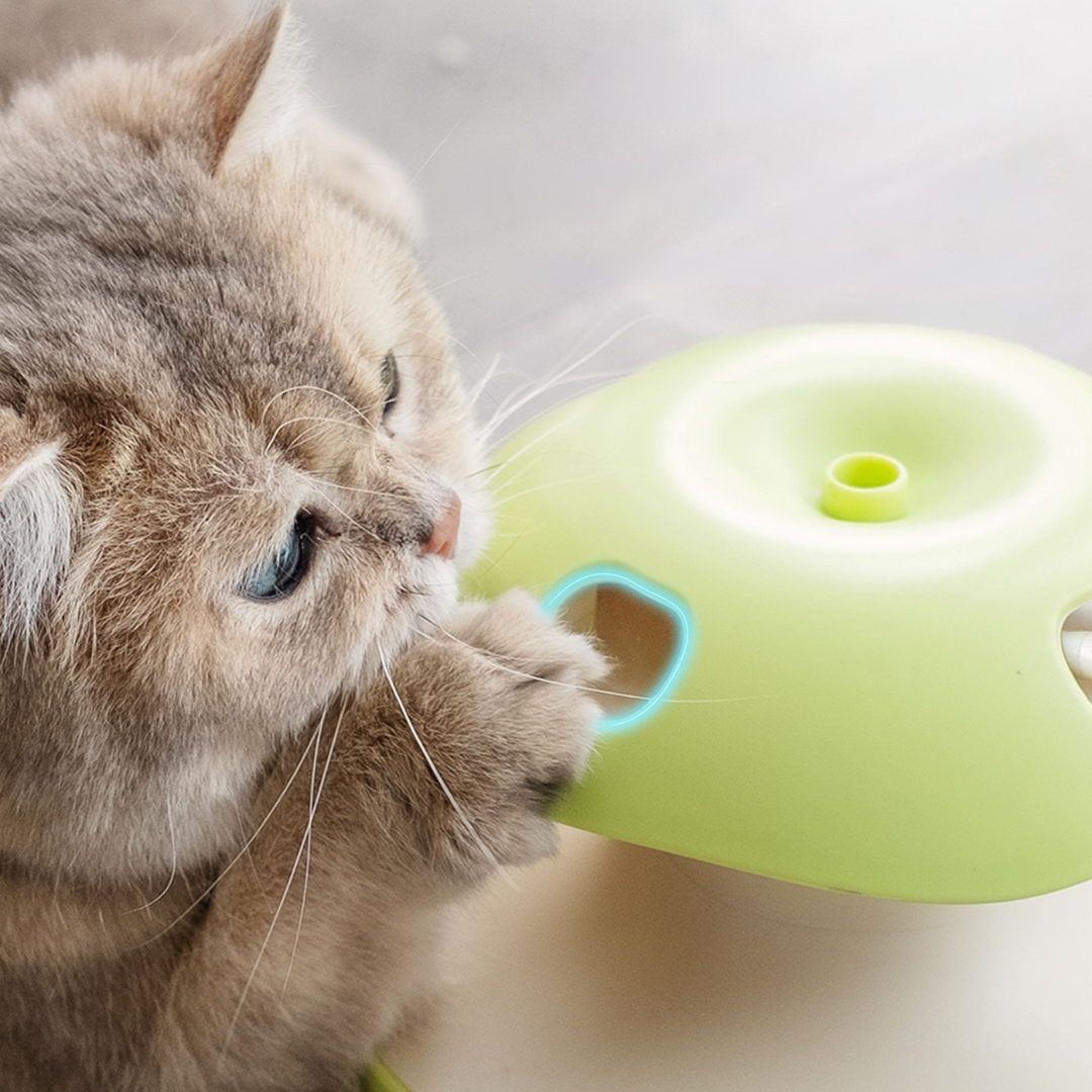 Brinquedo Maçã Elétrica Interativa para Gatos