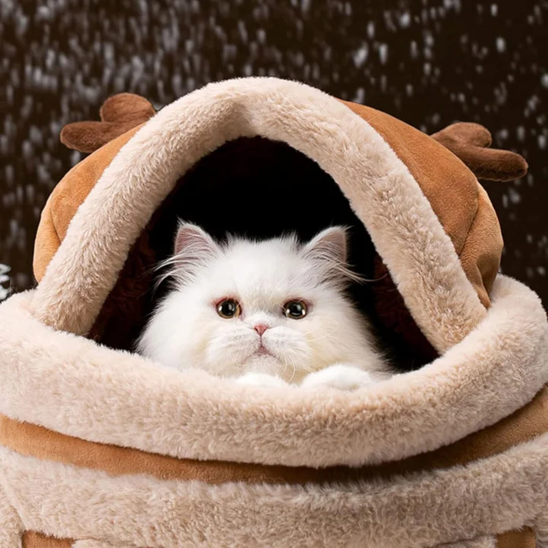 Mochila de Pelúcia para Transporte de Gatos
