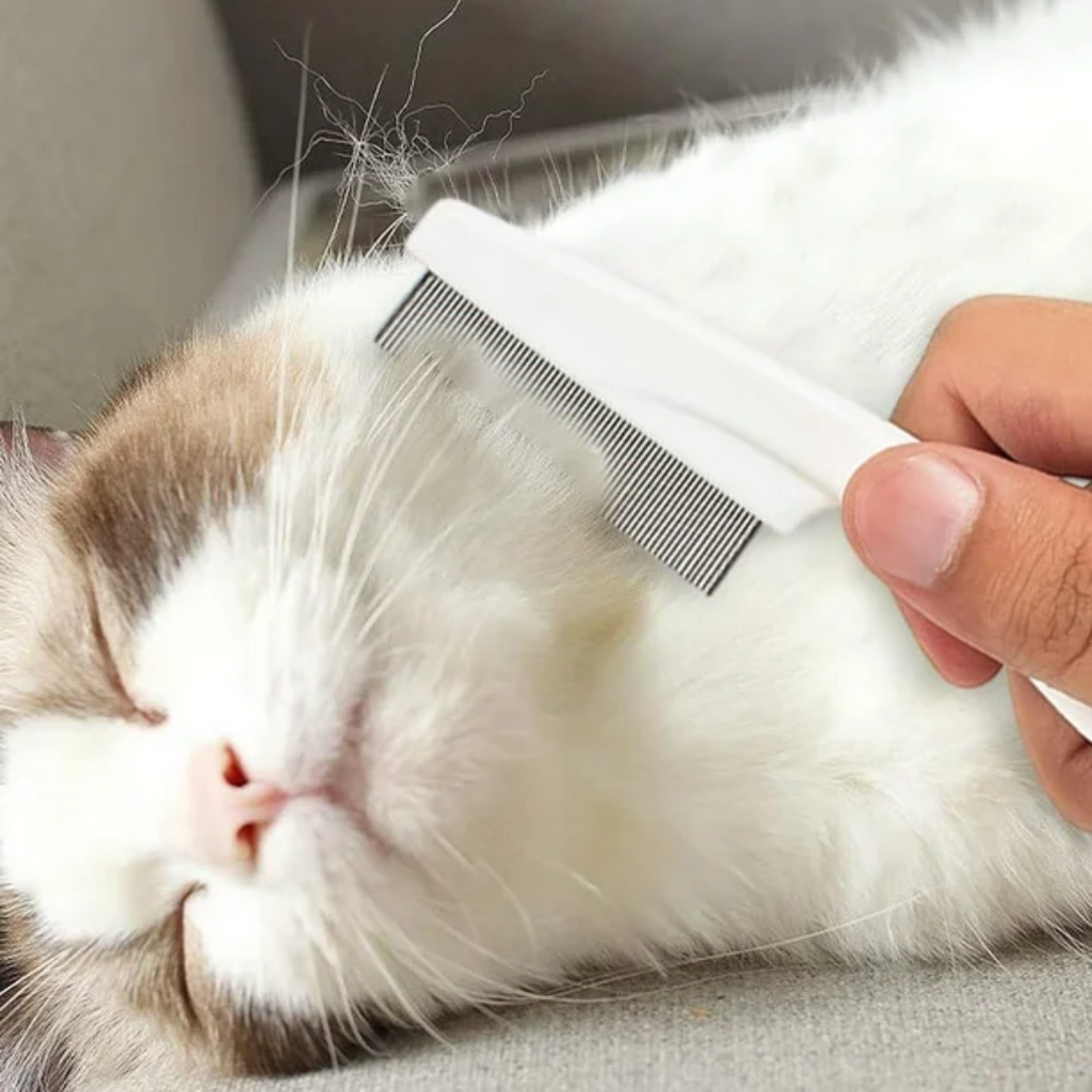 Pente para Higienização de Gatos