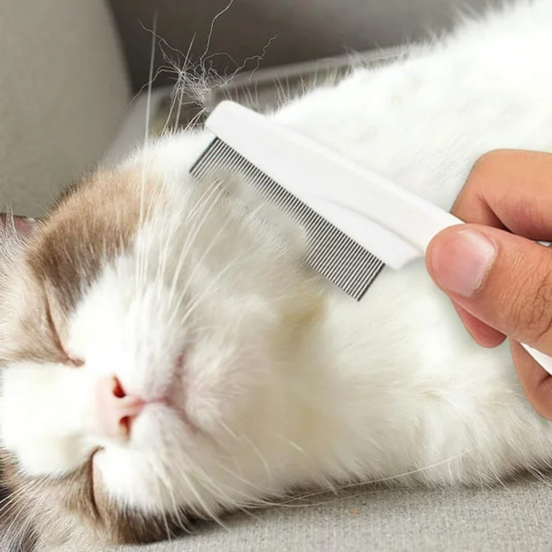Pente para Higienização de Gatos