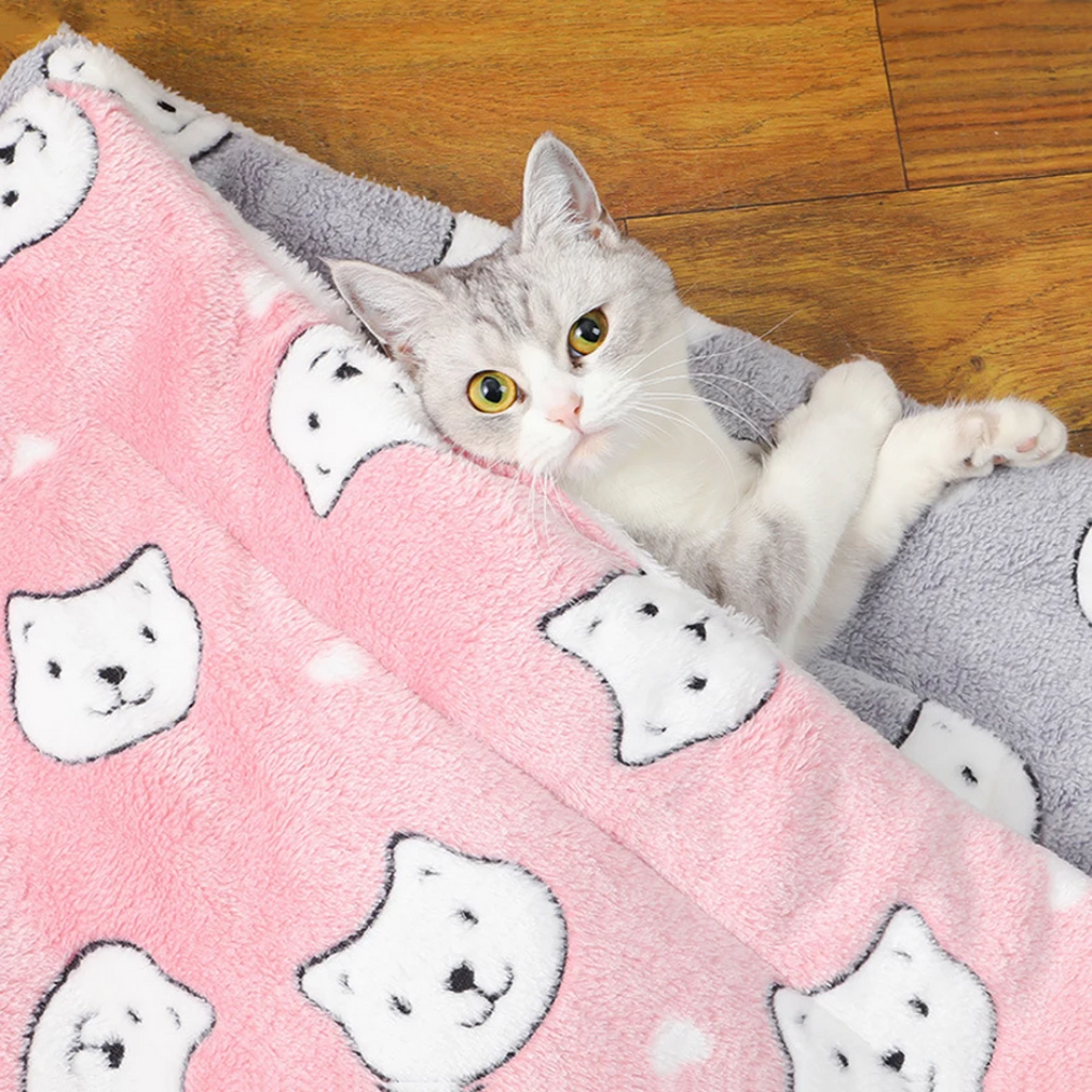Tapete Quentinho de Pelúcia para Gatos